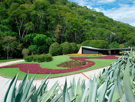 “APAGÃO DE IDEIAS” e “Sem emenda?” Bug Sociedade