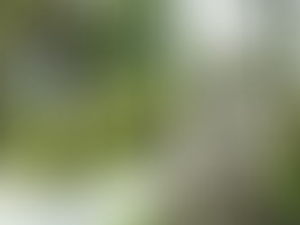 “A MALDADE E O KARMA” e “Ser quem você é” Bug Sociedade