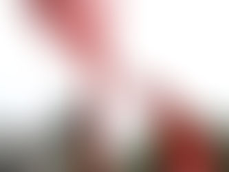 2 Contos: “300 GRAUS NO PANTANAL” e “Meu querido país”