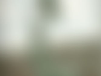 “DEMOCRACIA, SEMPRE(!)” e “Contribuir para a Democracia” Bug Sociedade