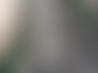 A Arte de João Paulo Pimentel