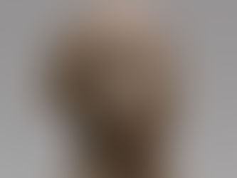 A Arte de Israel Kislansky