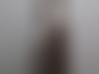 A Arte de Israel Kislansky