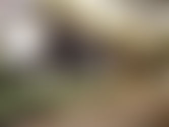 2 Contos: “GERAÇÃO SOLIDÃO” e “Para que serves, talento?”