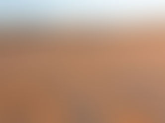 A Arte de Rui Rezende