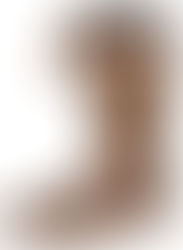 Poesia das Curiosidades