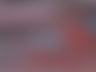 “FERNANDA É BRASIL DEMOCRÁTICO!” e “Ano Novo, como posso ajudar?” Bug Sociedade