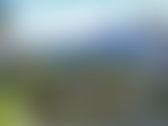 2 Contos: “O PITCHING DO PAÍS DO ESPELHO” e “A hora das surpresas”