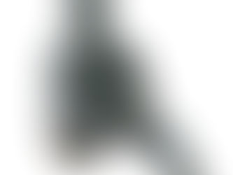 2 Contos: “EU AMO ERIKA HILTON!” e “Abençoados mosquitos”