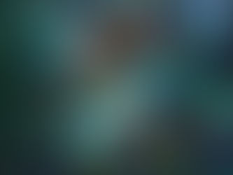 “AS FARPAS DE EÇA, NO FACEBOOK” e “Viver também é Perder, mas sobretudo aprender” Bug Sociedade