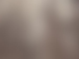 A Arte de Chris Tigra