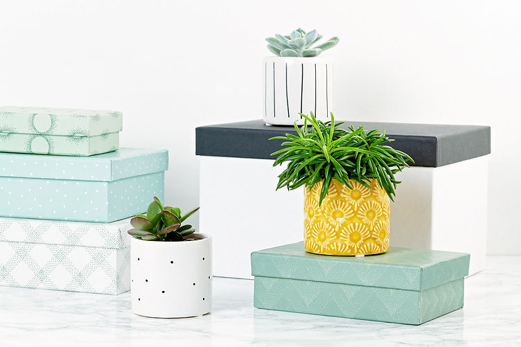 declutter home organization.jpeg