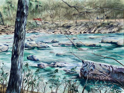 Moyers - Maury River