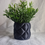 Thumbnail: Pillowed Vase