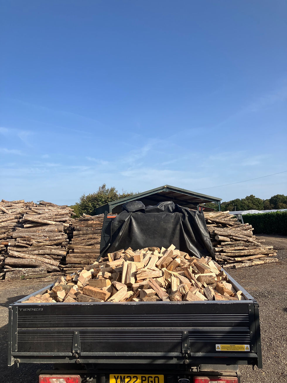 Thumbnail: Logs - XL load
