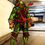Thumbnail: Michelangelo tortue ninja