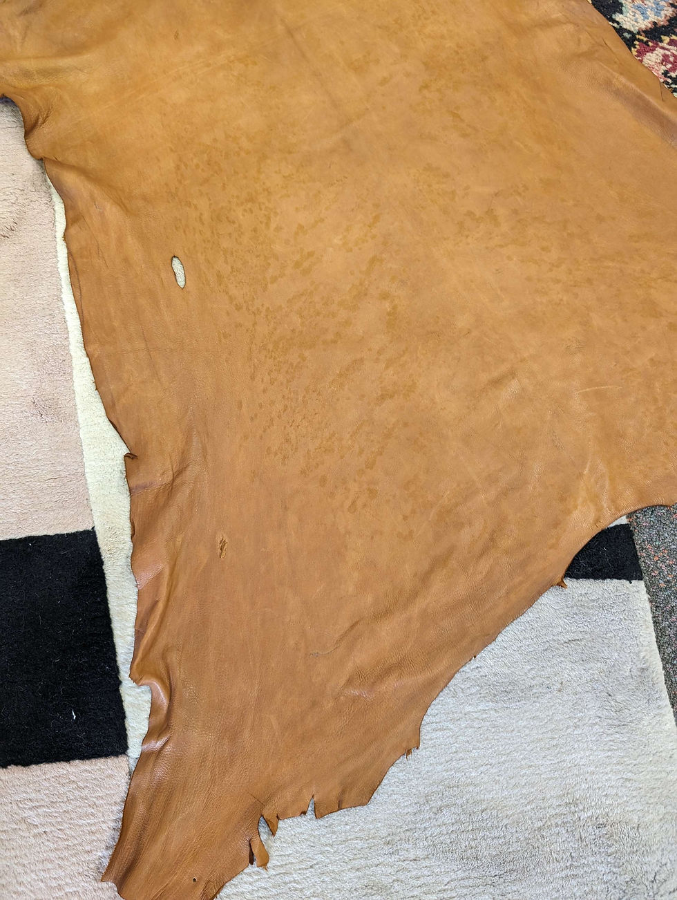 Thumbnail: Leather Hide
