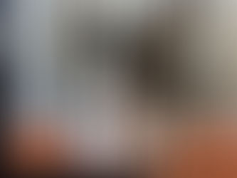 11月 神奈川県藤沢市 10月27日散歩中に失踪してしまったたまちゃん。翌日飼い主からの緊急依頼。