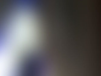 2月 大阪市東住吉区 早朝いつの間にか居なくなったマロちゃん。失踪当日に探偵が駆けつけ、捜索初日に無事に保護!