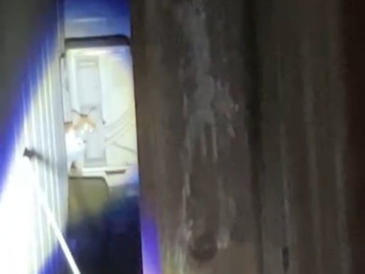 2月 大阪市東住吉区 早朝いつの間にか居なくなったマロちゃん。失踪当日に探偵が駆けつけ、捜索初日に無事に保護!