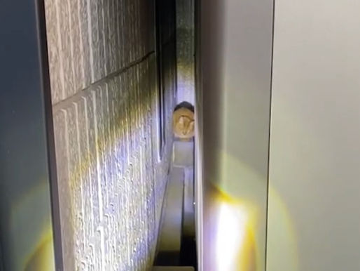 1月 群馬県前橋市 1月27日の早朝いつの間にか居なくなった、ゆず吉くん。2日後に探偵が駆けつけ捜索開始初日に発見、翌日に無事に保護!