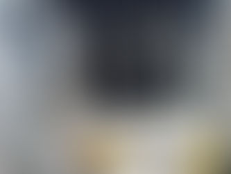 3月 埼玉県朝霞市 玄関のドアを開けた時に脱走しまったみゅうちゃん。工事現場にみゅうちゃんを発見するも高い壁に狭間れて捕獲するのが困難な場所でしたが、探偵は自ら木に登り捕獲器に紐をつけ下げ、無事保護!