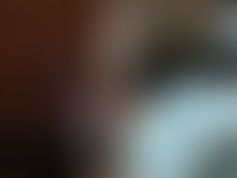 5月 茨城県水戸市 自宅から脱走、カラスに追われ失踪したあんずちゃん。