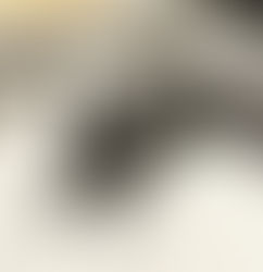 11月 埼玉県富士見市 自宅から失踪してしまったロシアンブルーのぷーちんくんです。