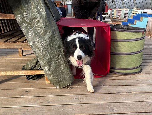 WhatsApp Image 2026-01-04 at 17.17.41.jpeg