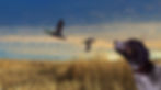 Thumbnail: Big Buck Hunter Reloaded - Panorama Model - Offline Version