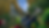 Thumbnail: King Kong Of Skull Island VR