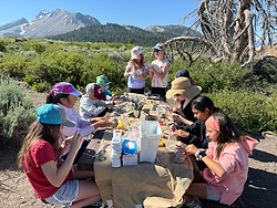 Art + Nature Summer Camp III