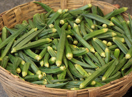 Okra Basket