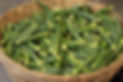 Okra Basket
