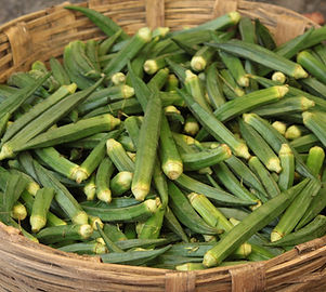 Okra Basket