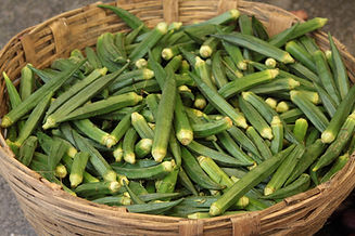 Okra Basket