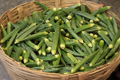 Okra Basket