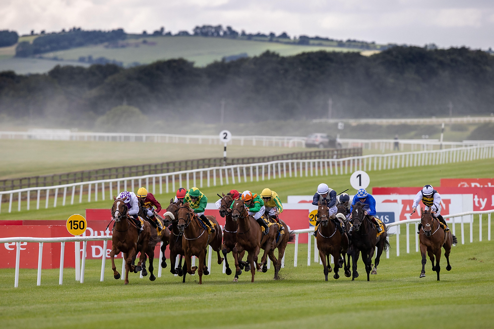 HOME | Irish Racing Legends