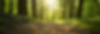 AdobeStock_1069073637.jpeg