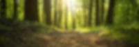 AdobeStock_1069073637.jpeg