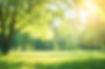 AdobeStock_964799488.jpeg