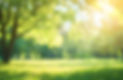 AdobeStock_964799488.jpeg