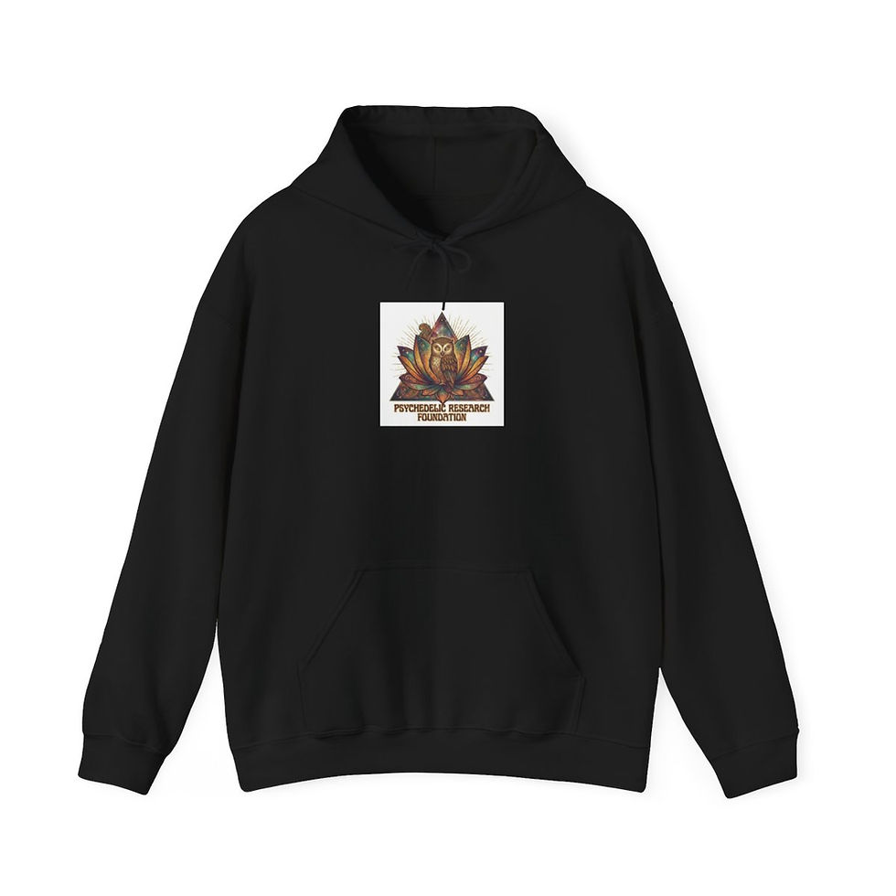 Thumbnail: OpenMind Initiative Logo Hoodie (Cosmic)