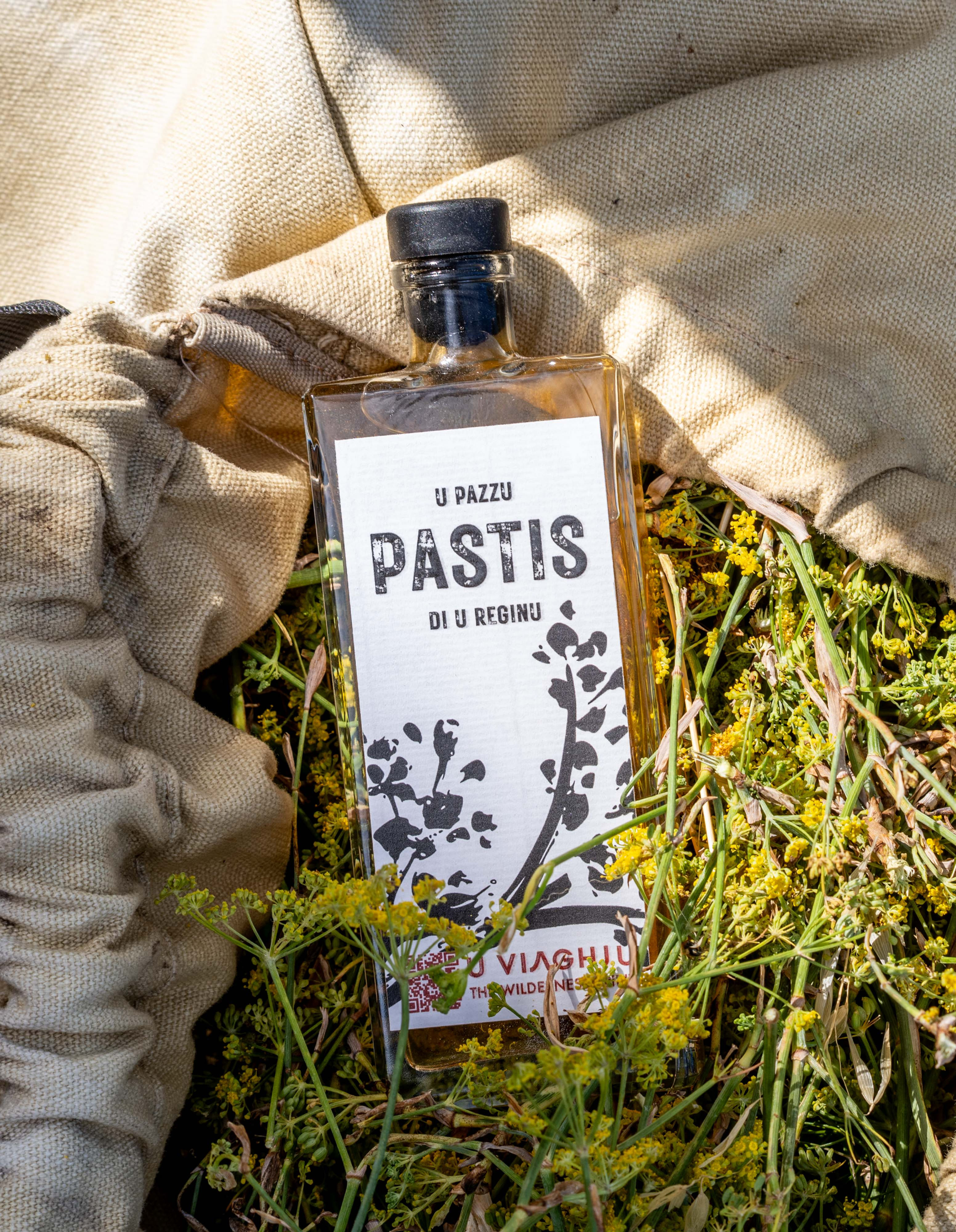 PASTIS DI CORSICA