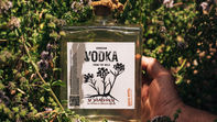 bouteille de vodka u viaghju sur un lit de népita et botaniques sauvages