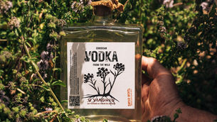 bouteille de vodka u viaghju sur un lit de népita et botaniques sauvages