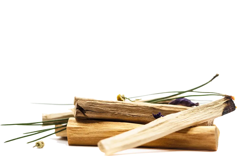 Miniature : Élixir visage nuit