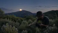 récolte de botaniques sauvages à la lumière de la pleine lune