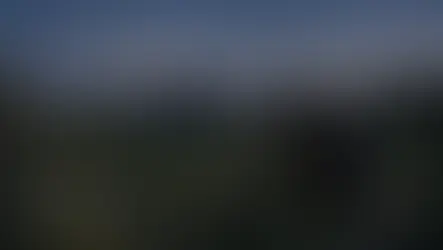 récolte de botaniques sauvages à la lumière de la pleine lune