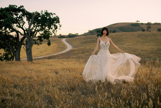 Allure Bridals Wilderly Darci
F245 £1737